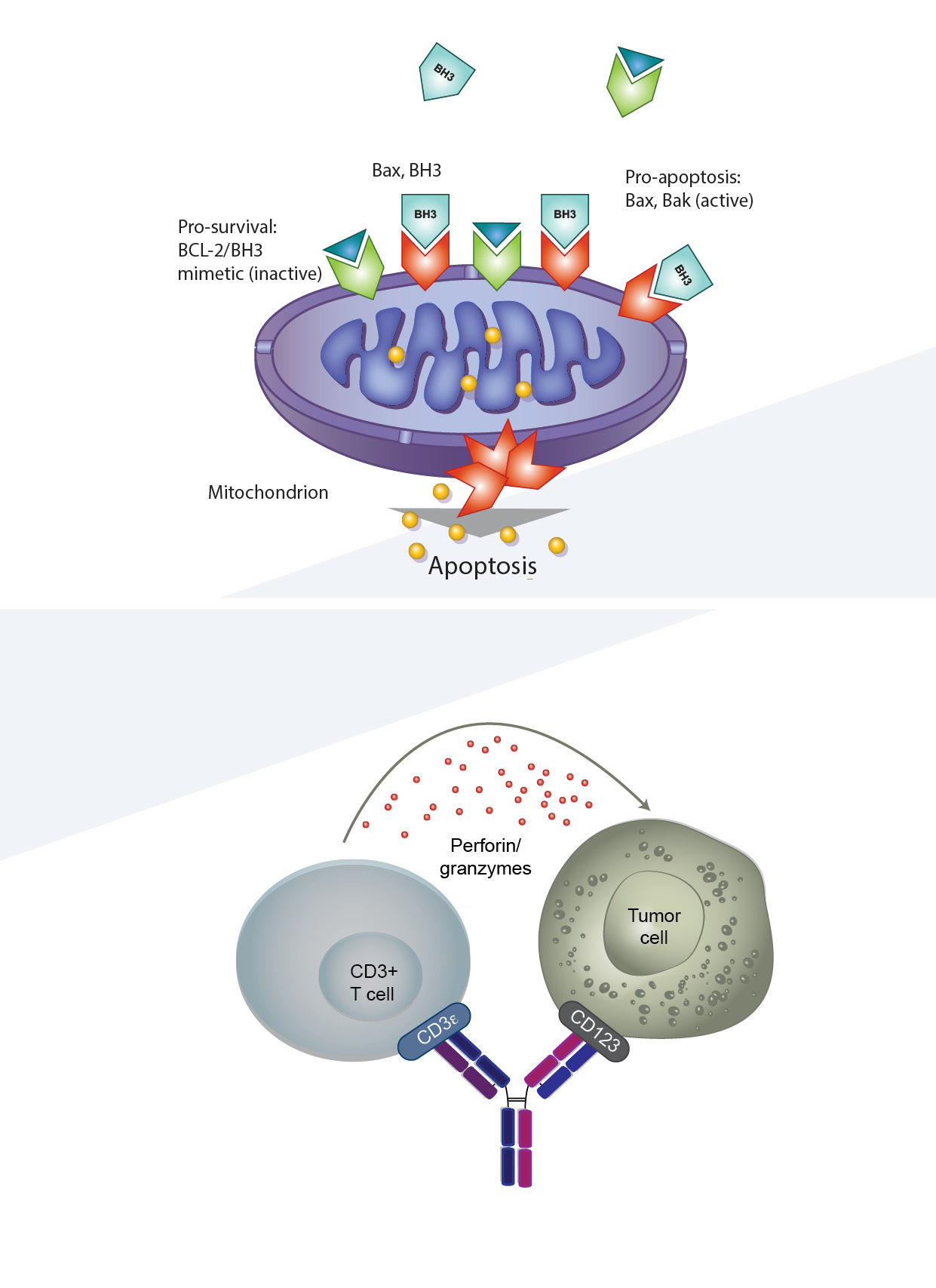 leukemia